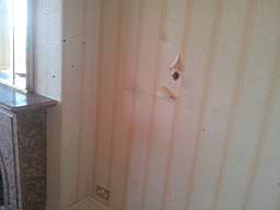 fkillineybeforeinternal 1145.jpg